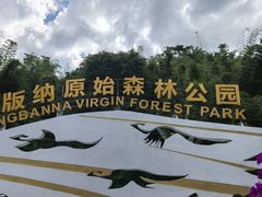 -西双版纳原始森林公园