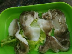 -蚝专家