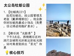 -日照海滨国家森林公园