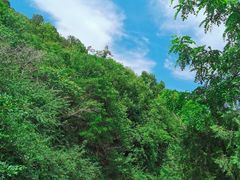 -北京西山国家森林公园