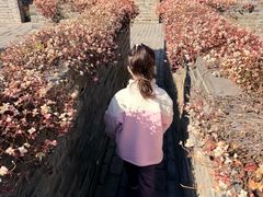 -青少年宫(惠风宫)