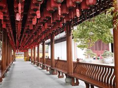 -上海东林寺(金山区)
