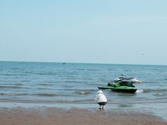 -金梦海湾浴场