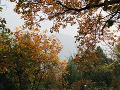 -北京十三陵国家森林公园蟒山景区