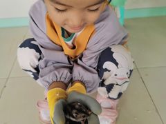 -怪兽屋·羊驼·猫咖·狗咖(俊华广场店)