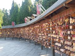 -龙口南山旅游景区