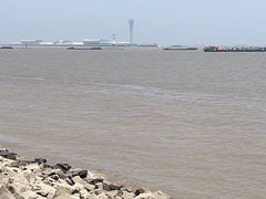 -上海滨江森林公园