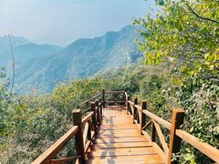 -大岭沟猕猴桃谷风景区