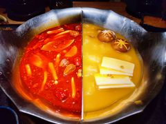 红颜花胶鸡锅-湊湊火锅·茶憩(上海合生汇店)
