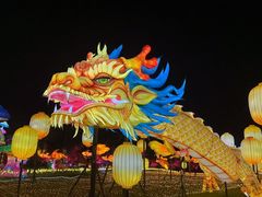 -洋湖国家湿地公园
