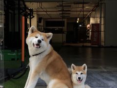 -YCHL Studios健身工作室(市二宫店)