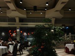 -金河半岛园林酒家(金融城店)