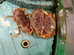 -西贝海鲜汇(槐安路店)