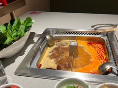 贵州雷山酸汤锅-海底捞火锅(北京西路夜宵主题店)