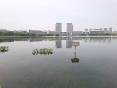 -尚贤河湿地