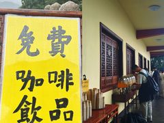 -庐山风景名胜区-东林大佛