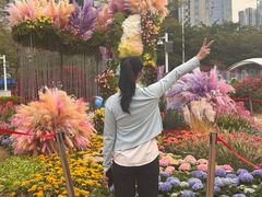 -海心沙亚运公园