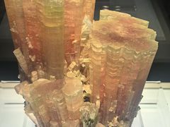 -安徽省地质博物馆