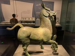 -广西壮族自治区博物馆