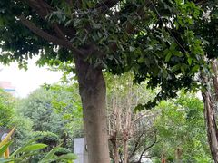 -广州神农草堂中医药博物馆