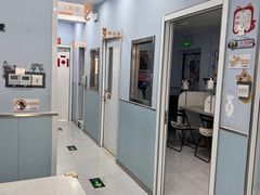 -纳吉亚猫专科动物诊疗中心(蒋宅口分院)