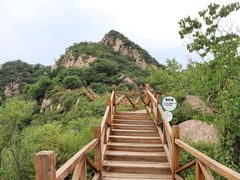 -大岭沟猕猴桃谷风景区