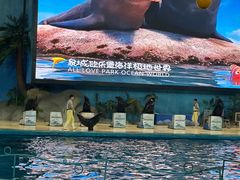 -泉城欧乐堡海洋极地世界