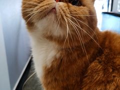 -佳怡动物医院·平价24小时·猫专科骨外科