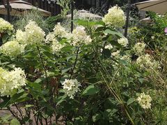 -墨居上隐·院子里火锅(峨眉店)