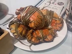 -裕龙汤泉