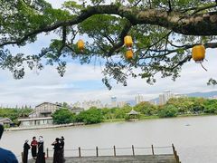 -江心屿景区