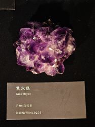 -金展珠宝广场