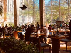 大堂-佰园全日西餐厅-厦门佰翔软件园酒店