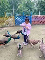 -萌宠亲子动物乐园(槐房万达店)