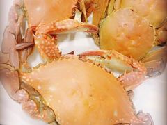 -张树军海鲜(王府壹号店)