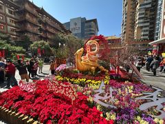 -越秀西湖花市(广州城市广场花卉店)