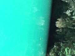 -三门海