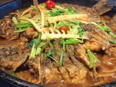 -老板恋上鱼(恒隆广场店)