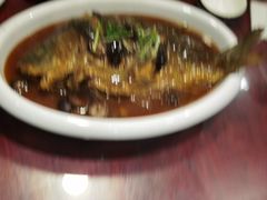 -邵年鸽(杨庄店)