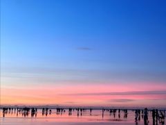 -南汇嘴观海公园