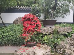 -成都杜甫草堂博物馆