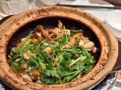 啫啫牛蛙-煲煲好(朝阳门店)