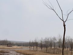 -东郊湿地公园