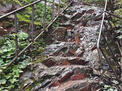 -云岫谷游猎自然风景区