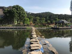 -黄陂区野村谷景区