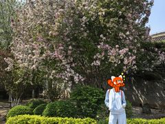 -张学良旧居陈列馆