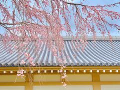 -醍醐寺