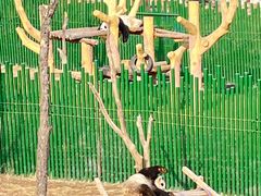 -沈阳森林动物园