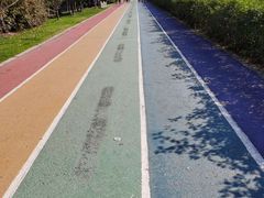 -贡湖湾湿地公园