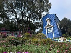 -铁山坪森林公园